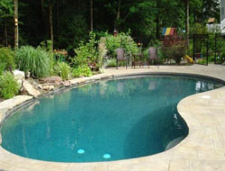 Bean Shaped Pool Manufacturer in Kolkata