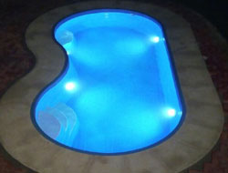 Bean Shaped Pool Manufacturer in Kolkata