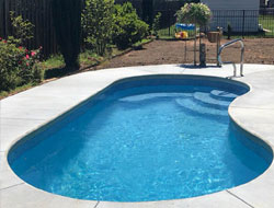 Kidney Shaped Swimming Pools Manufacturer in Kolkata